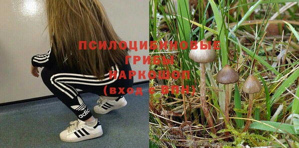 молекула духа Сосновка
